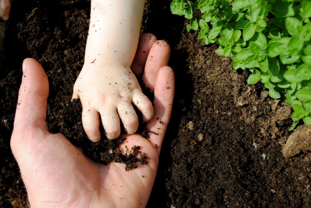 father and daughter hands play with soil in the garden