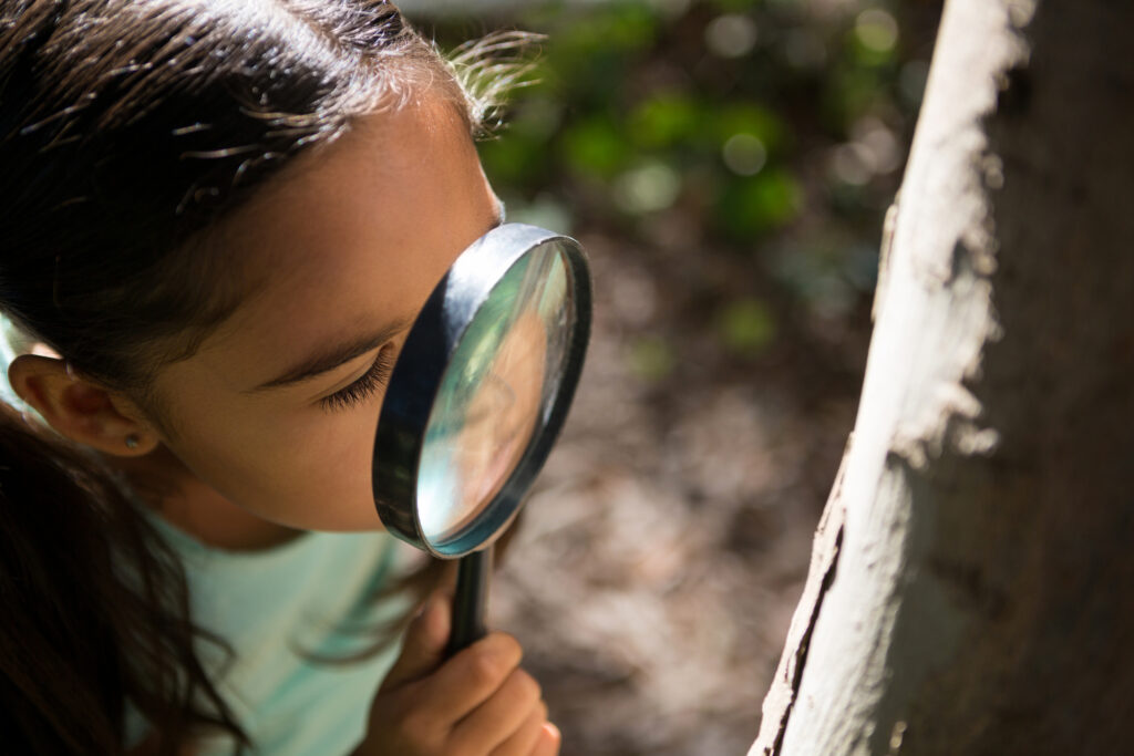 Little girl exploring nature through magnifying glass on a sunny day in the forest